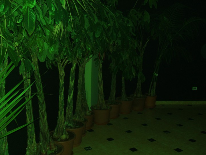 RAGGIONERIA DJM  (178)